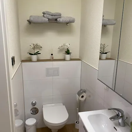 Apartment Naehe Flughafen Psd Dome Merkur Arena *