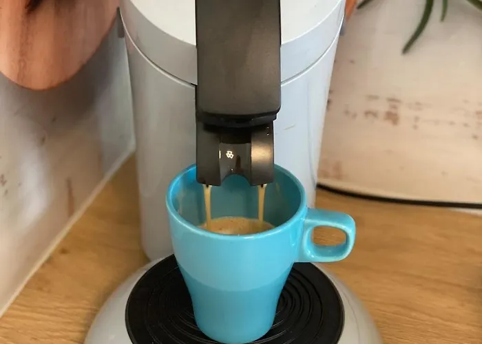 Naehe Flughafen Psd Dome Merkur Arena Lägenhet *